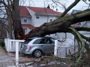 Storm Cleanup