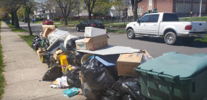 Yard waste on the front of yard